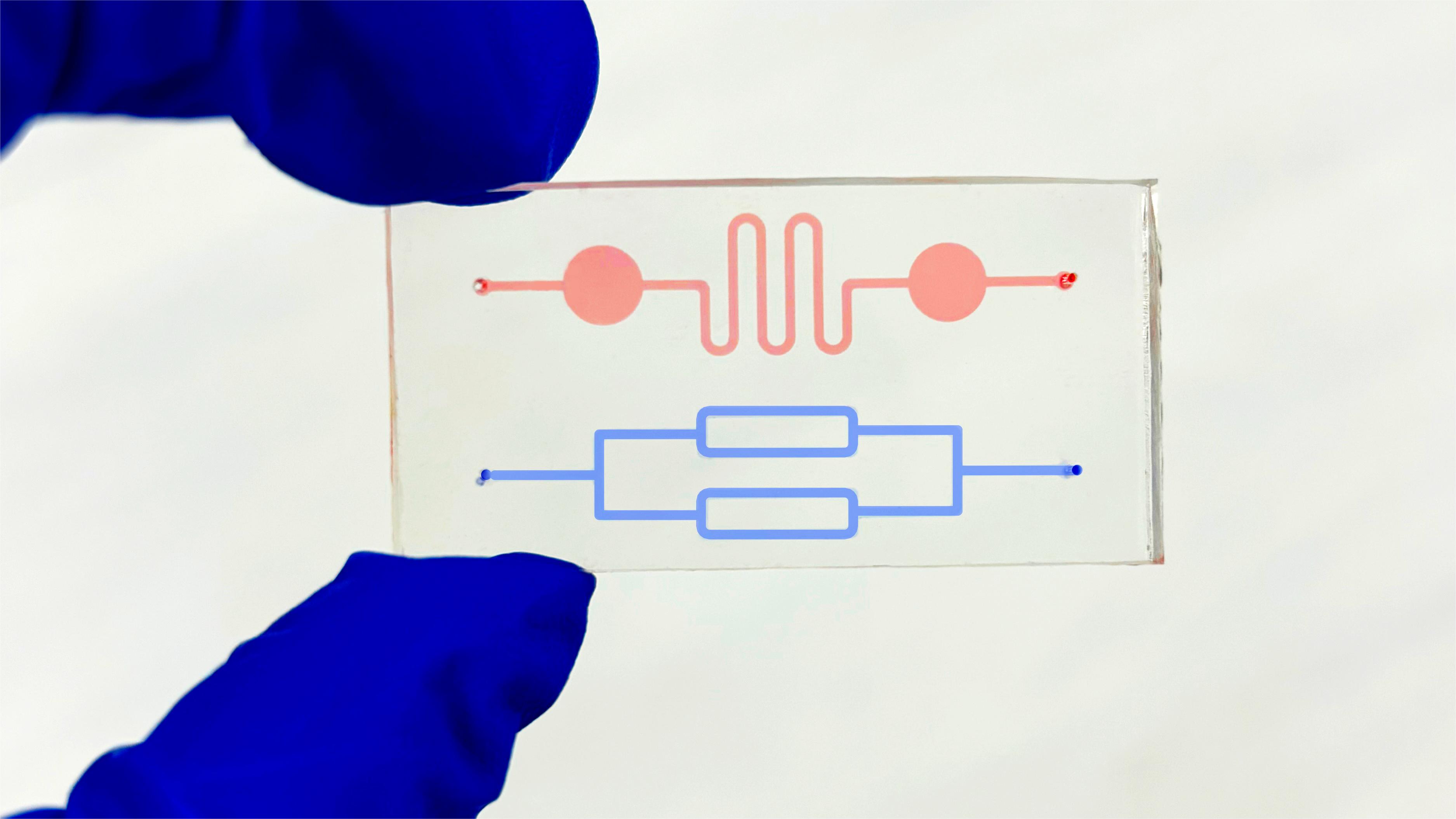 TechInsights #4 Micro-Nano Fabrication: PDMS & Soft Lithography Techniques