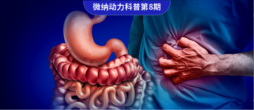 TechInsights #8 《Science Robotics》:Biohybrid microrobots regulate colonic cytokines and the epithelium barrier in inflammatory bowel disease