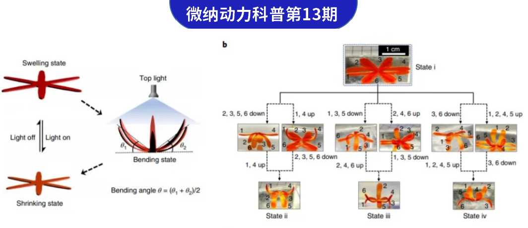 TechInsights #13 《Nature Materials》: Supramolecular-Covalent Hybrid Polymers for Light-Activated Mechanical Actuation
