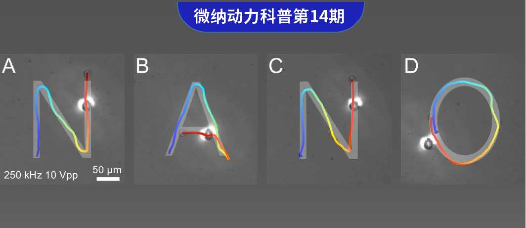 TechInsights #14 《Advanced Science》：Particle-assisted Optoelectronic Tweezers for Single Microparticle and Cell Manipulation